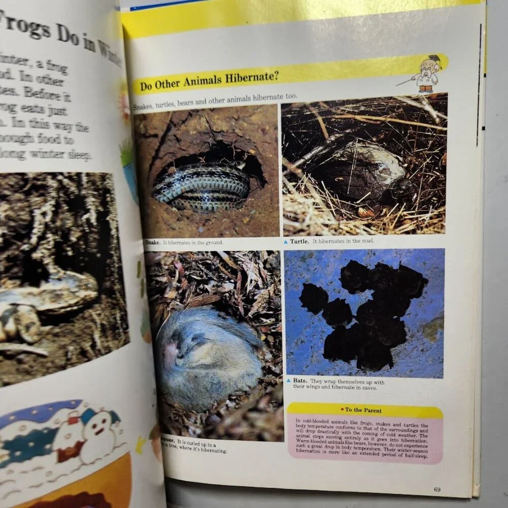 Life in the Water Child's First Library of Learning Science Stem Book Homeschool